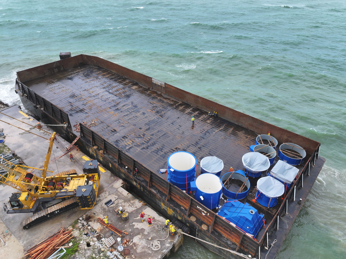 Delivery SMM Project